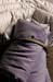 Ourson_Bed7_16